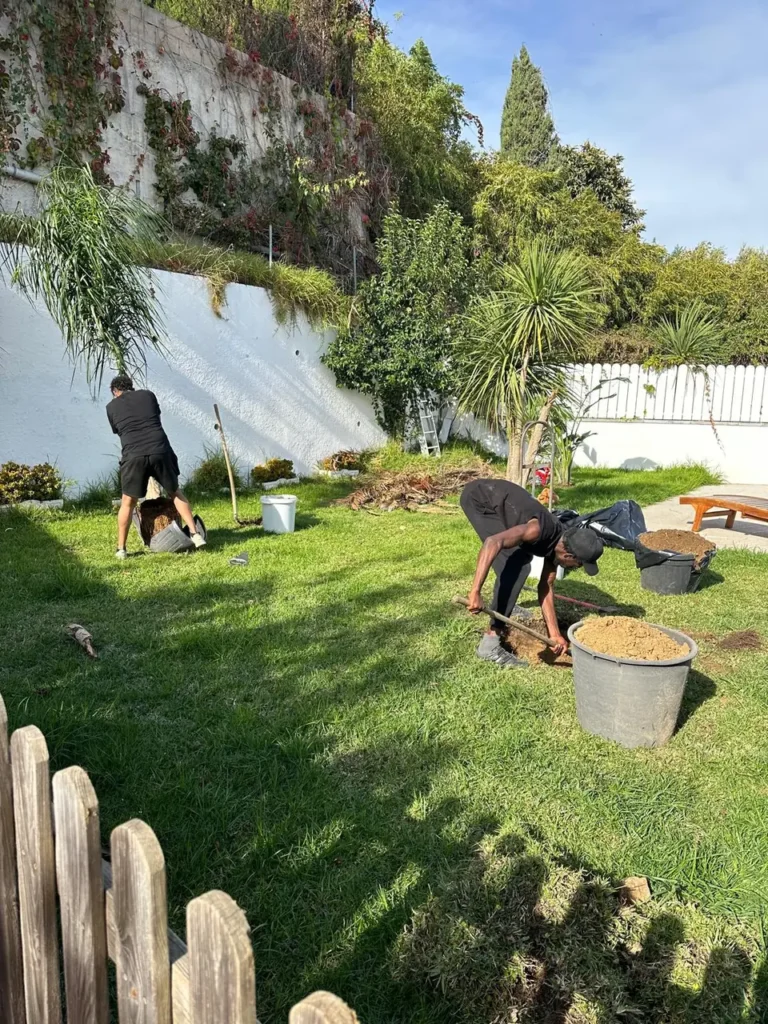 Jardineros trabajando en un jardín con césped y plantas
